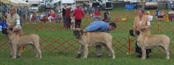 101_0133_bob71517