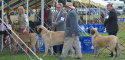 102_0217_bobbowbos