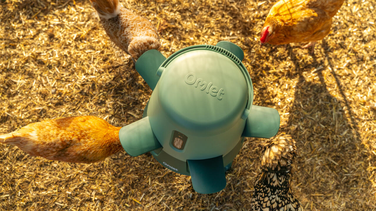 top down view of the omlet chicken feeder with hens feeding from the ports