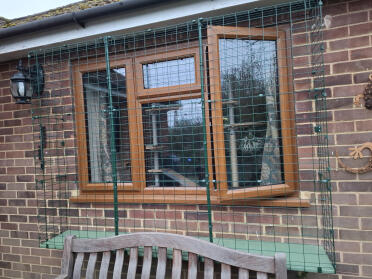 Window box plus extensions