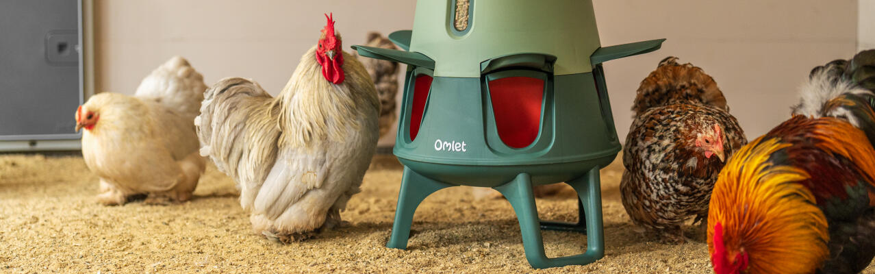 chicken keeping coops and accessories smart no waste feeder clp banner