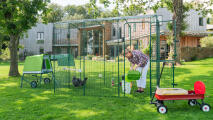 woman tending to her chickens in a walk in chicken run and eglu go up chicken coop