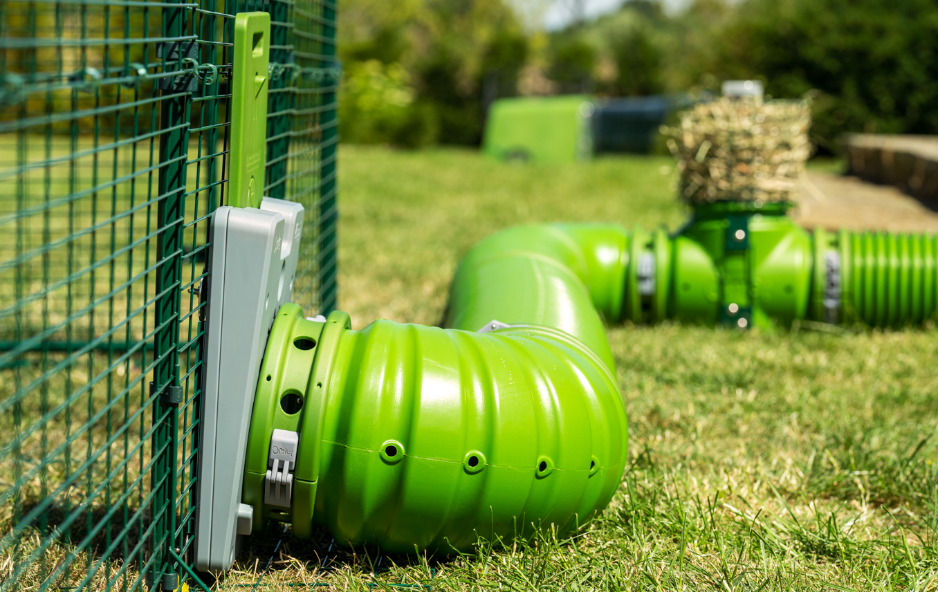 The Zippi tunnel can be securely attached to the run of an Eglu Go guinea pig hutch kids petting their guinea pigs inside the playpen which is securely attached to the hutch using a zippi tunnel
