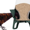 cross-section of no waste chicken feeder