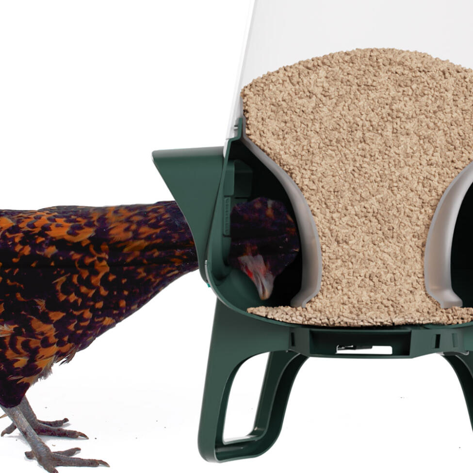 cross-section of no waste chicken feeder