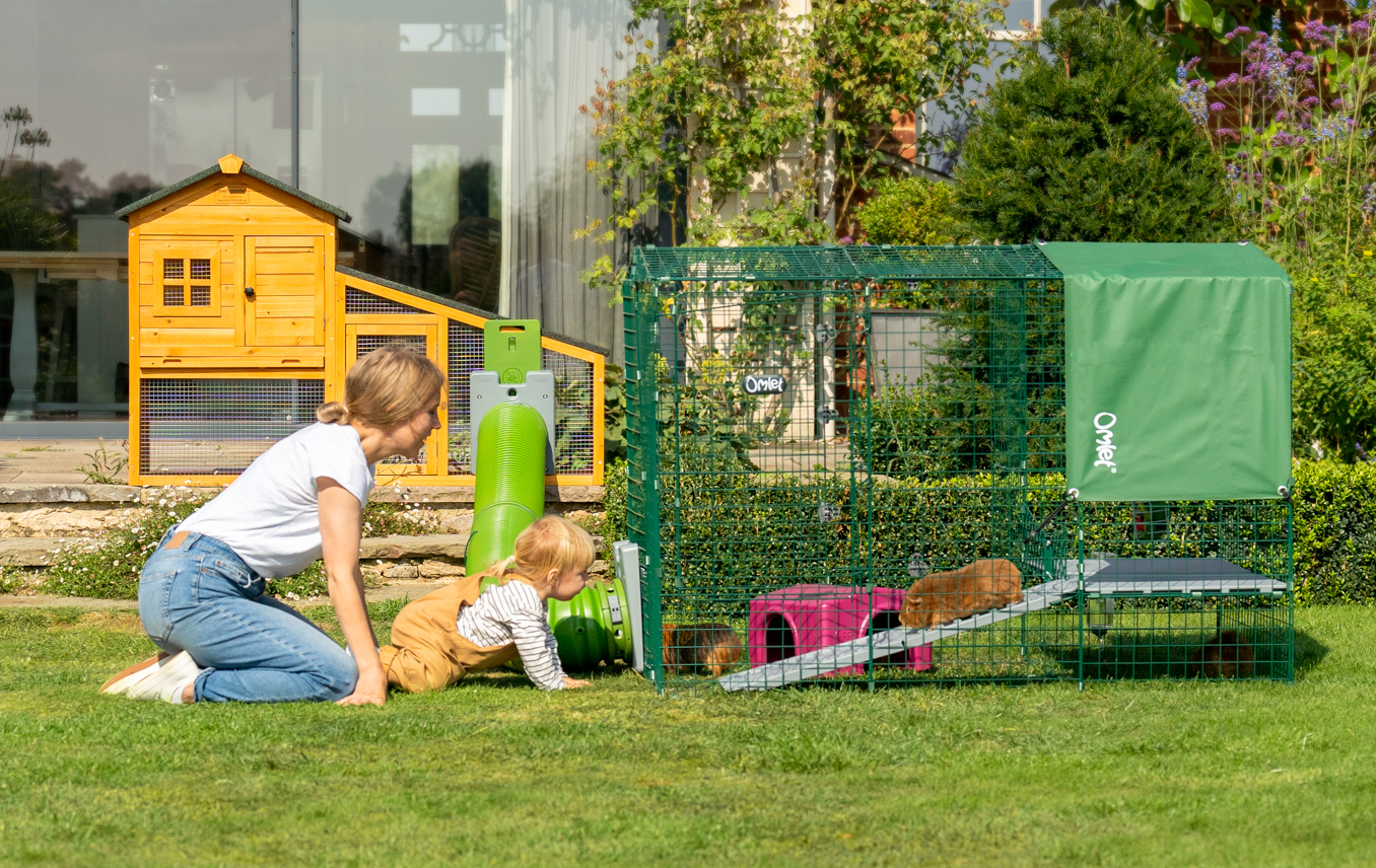 You can use the Zippi Tunnel to connect the hutch to a larger run or playpen A kid playing with two guinea pigs inside a playpen