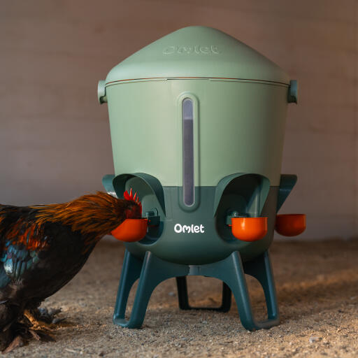 sturdy chicken waterer that comes with cups and nipples
