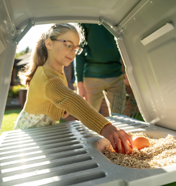 girl collecting eggs from inside an eglu go up chicken coop