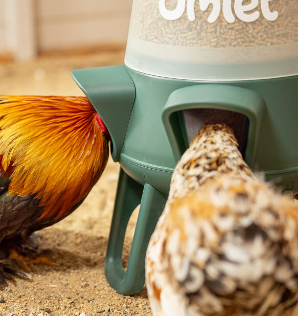 five anti-bully feeding ports on the omlet no waste chicken feeder allow your chickens to eat at the same time harmoniously
