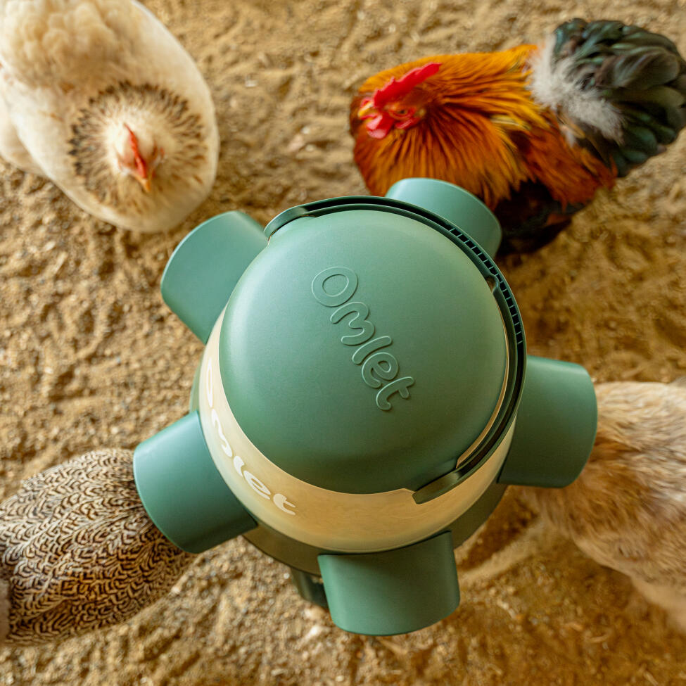 with hooded feeding ports your whole flock can eat in peace together