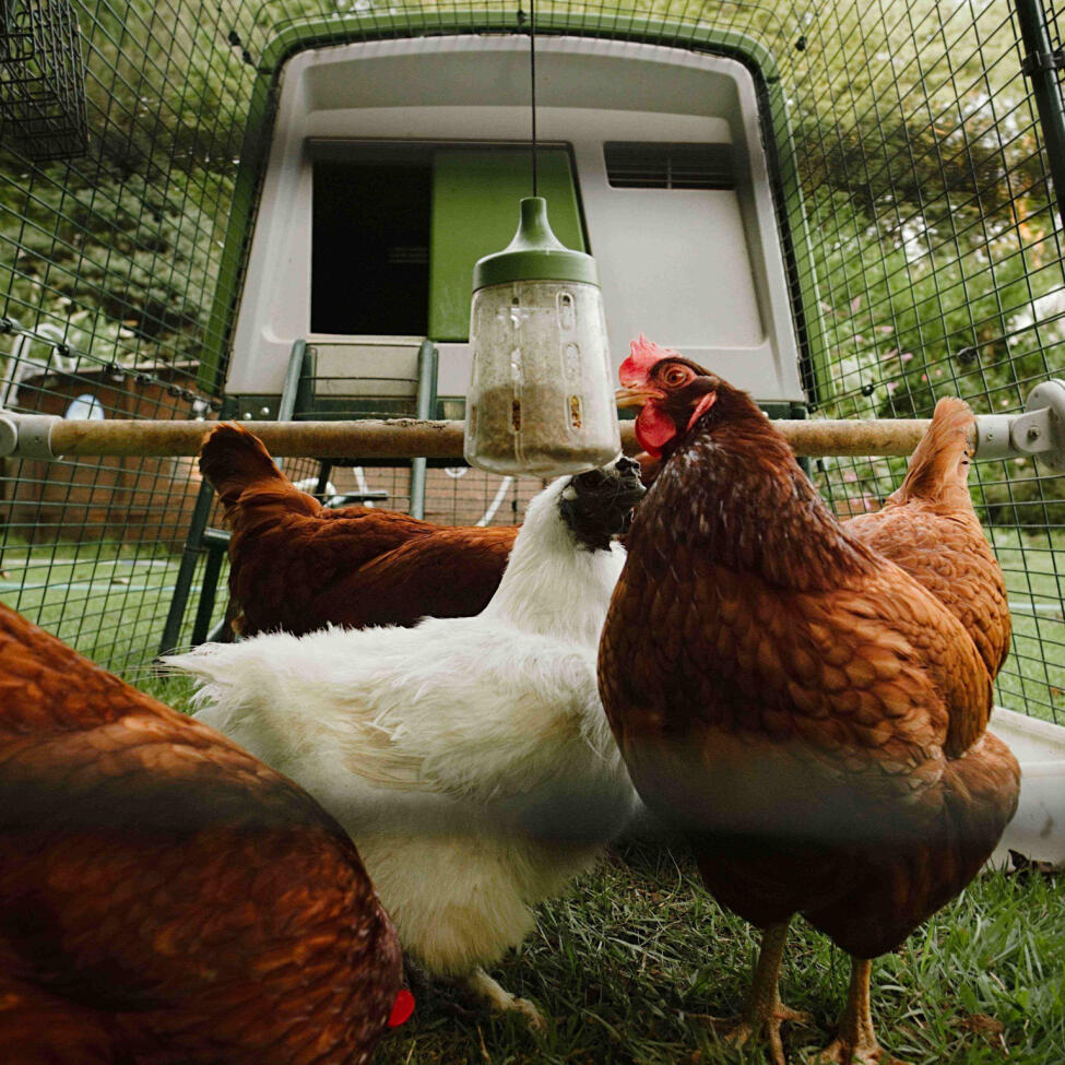 Pendant peck toy designed by Omlet