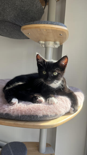 Willow enjoying the sunshine