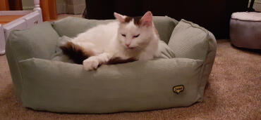 I haven't told Yeti that its really a dog bed.  He loves it anyway! 