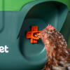 insulated stay clean chicken waterer with nipples