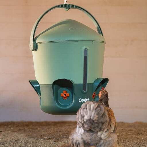 insulated chicken waterer with visible water level window