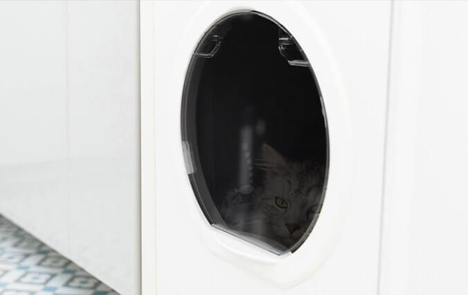 Discover the stylish and easy clean litter box furniture you and your cat will love! cat inside the walk in cat litter box with clear door