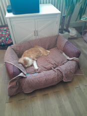 ...an exchange that seems to suit everyone 