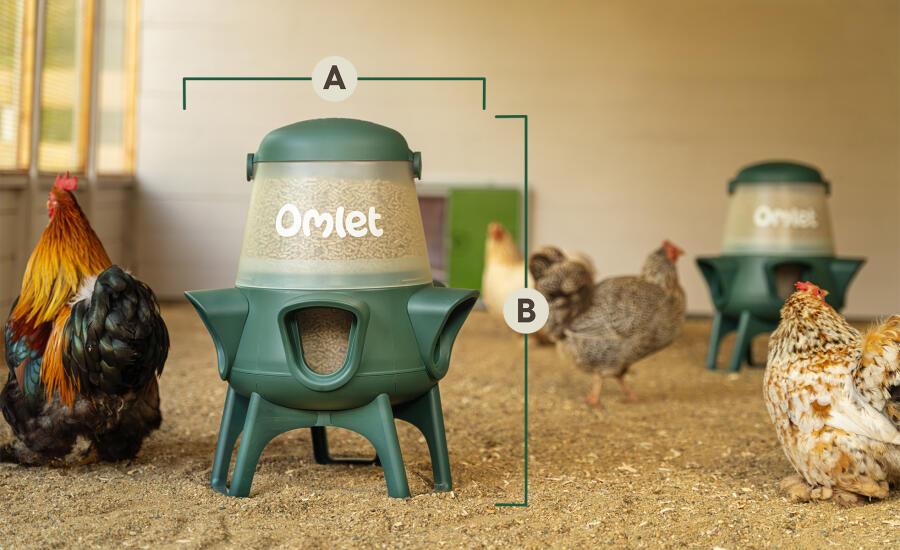 no waste chicken feeder overall dimensions