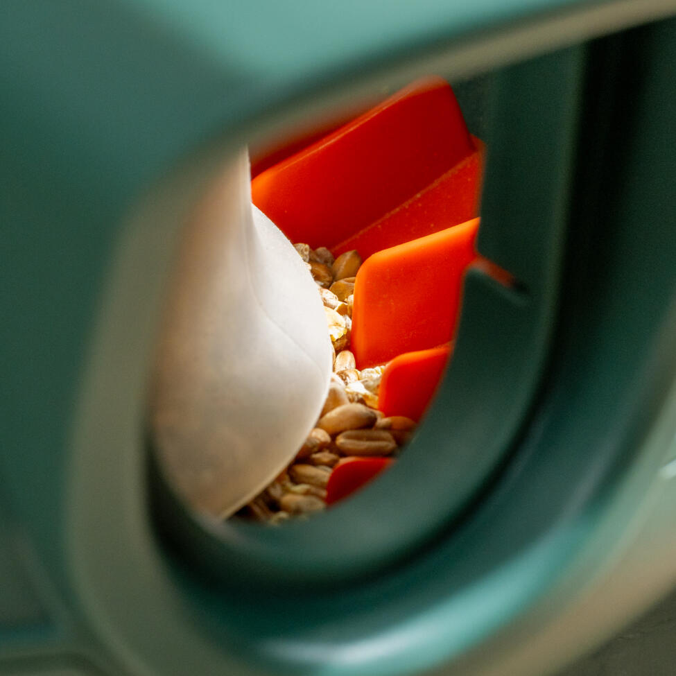 no waste chicken feeder with flow adjuster