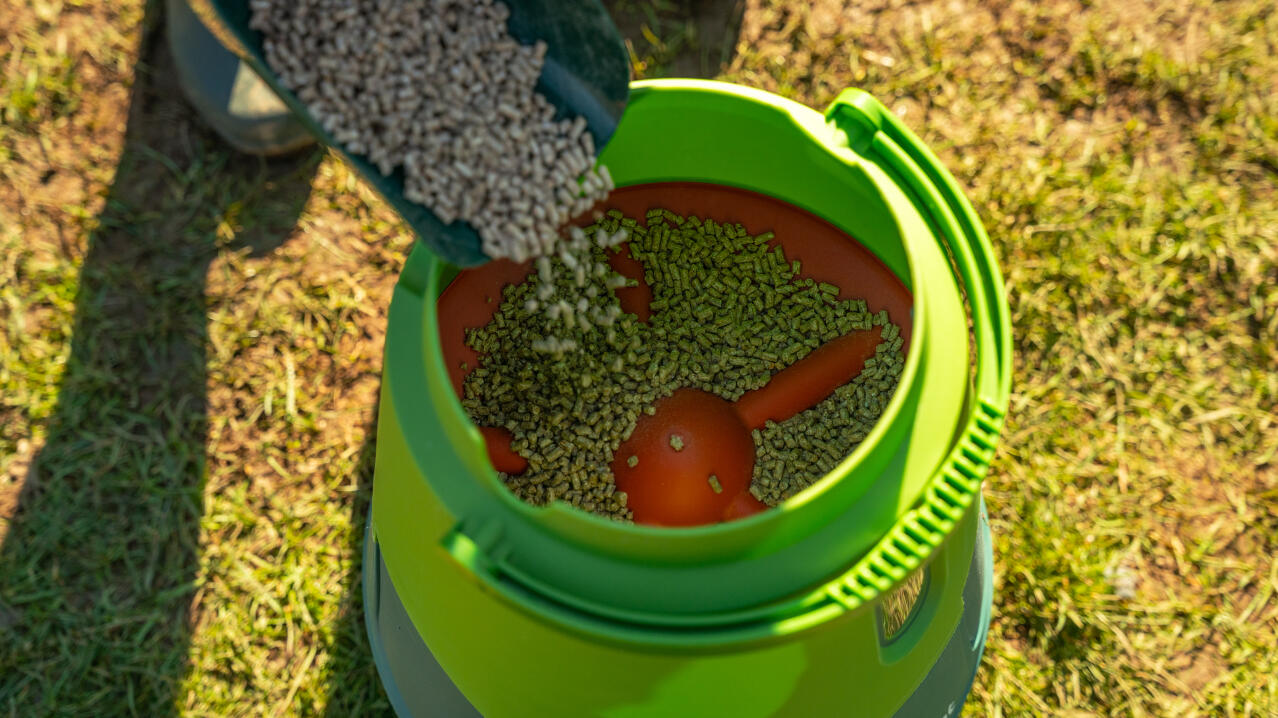detail of the smart automatic chicken feeder being filled with pellets