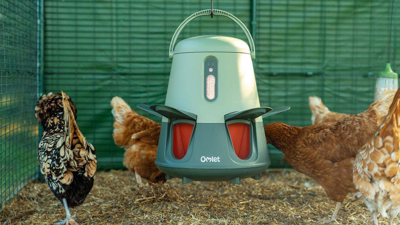 the omlet smart automatic chicken feeder hung up in a coop run