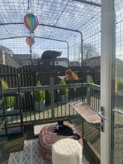 Loving new shelves 😻