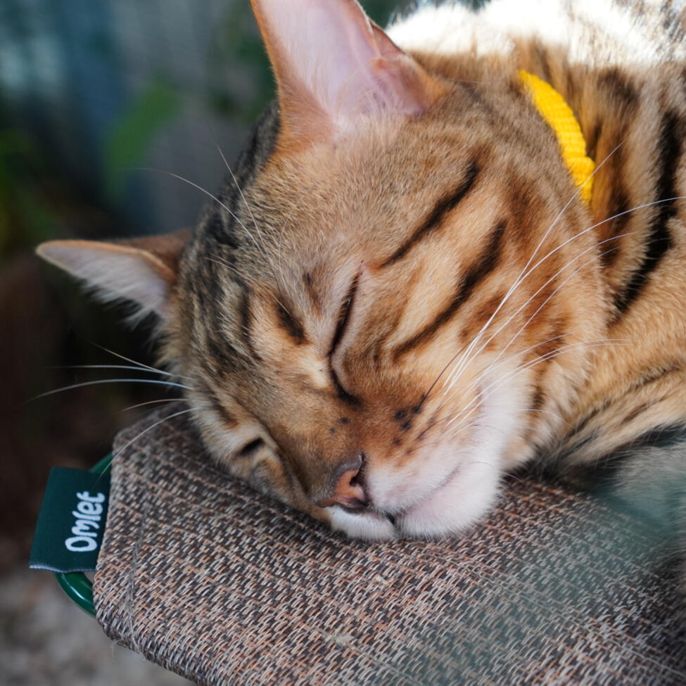Durable outdoor cat shelves