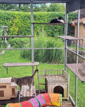 Our pension guests lie them 