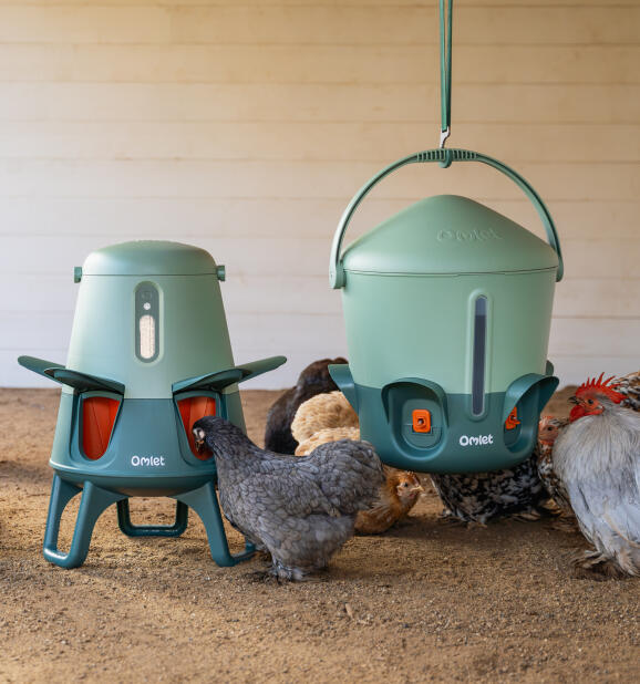 perfect paring of omlet no waste feeders and insulated waterers