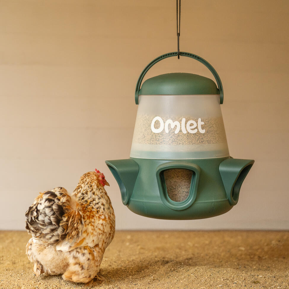 option to remove the legs and hang your no waste chicken feeder