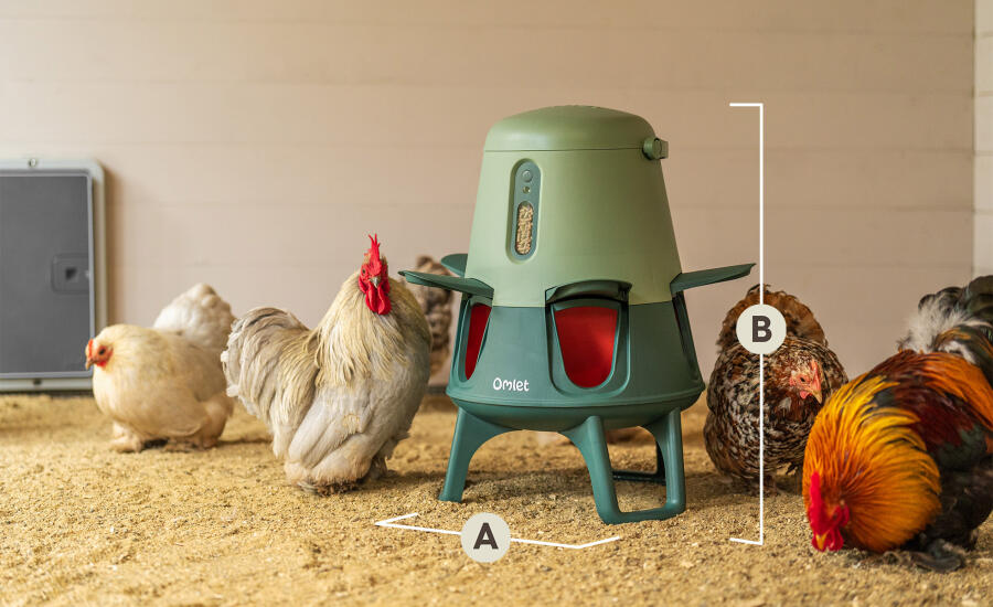 smart automatic chicken feeder overall dimensions