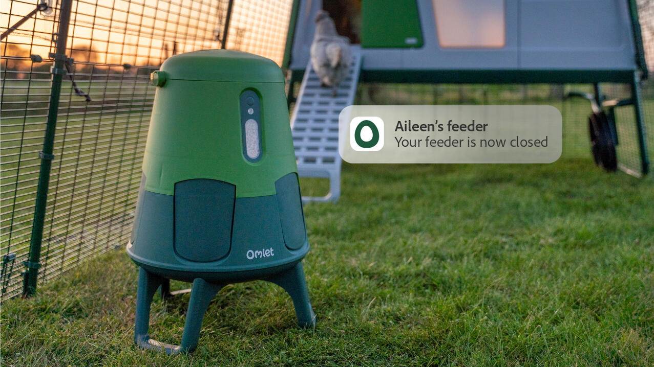 notification for smart automatic chicken feeder closing at night