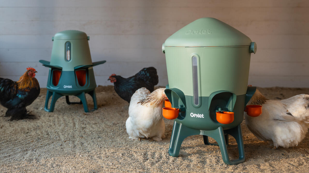 smart chicken feeder with insulated chicken waterer