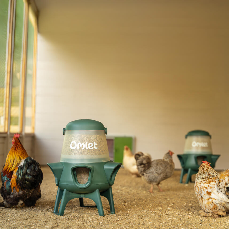 add multiple no waste chicken feeders to your set up