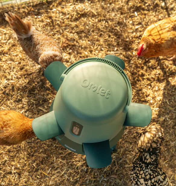 top down shot of the omlet automatic anti-bully chicken feeder