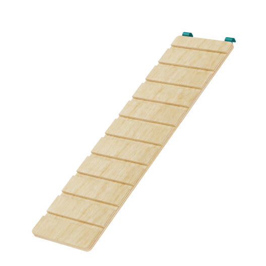 hamster habitat ramp