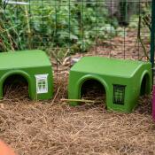 Two green shelters for guinea pigs