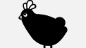 chicken faq icon chicken faq icon