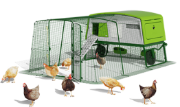 Eglu Pro chicken coop