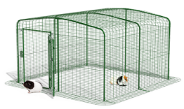 Walk in guinea pig run